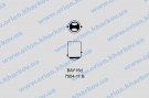 17925 P21/5W 24V