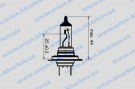 48328 Н7 12V 55W PХ26D Narva
